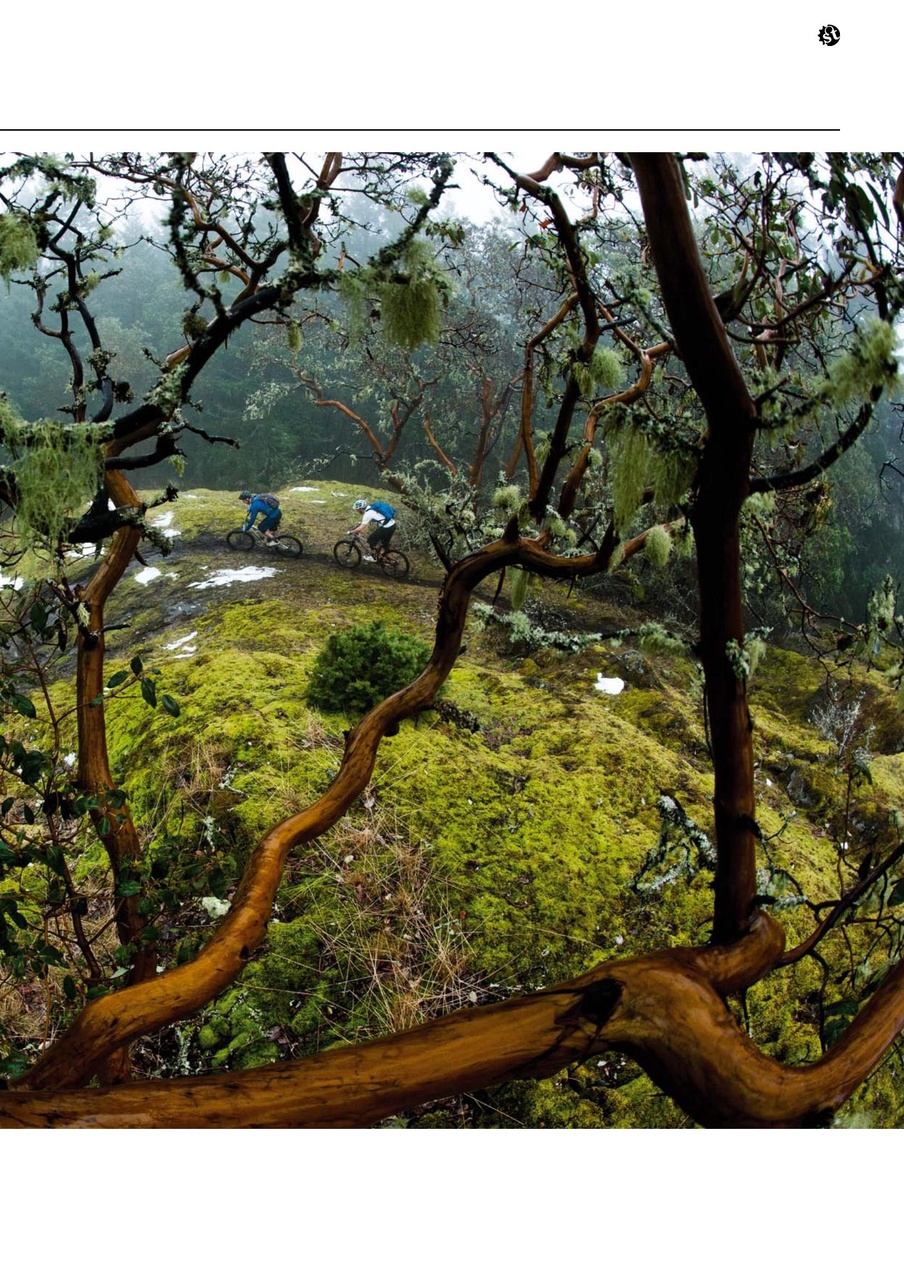 Singletrack Preview Pages