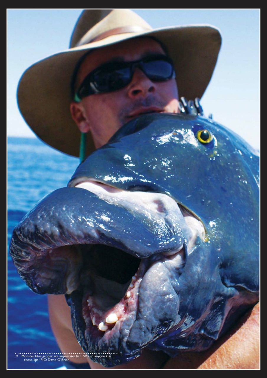 Fishing SA Preview Pages