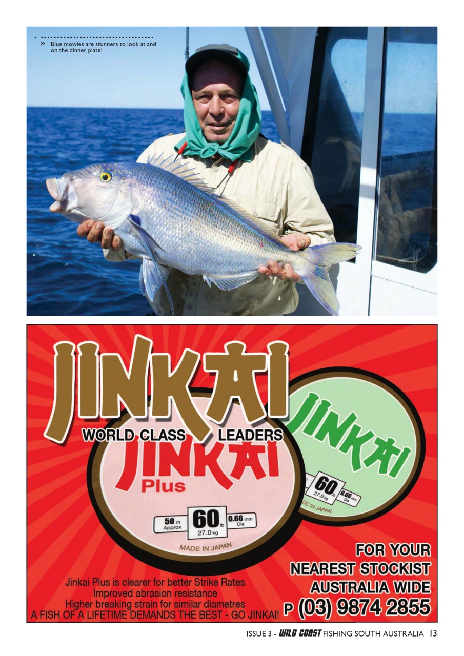 Fishing SA Preview Pages