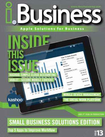 I.Business issue Issue 13