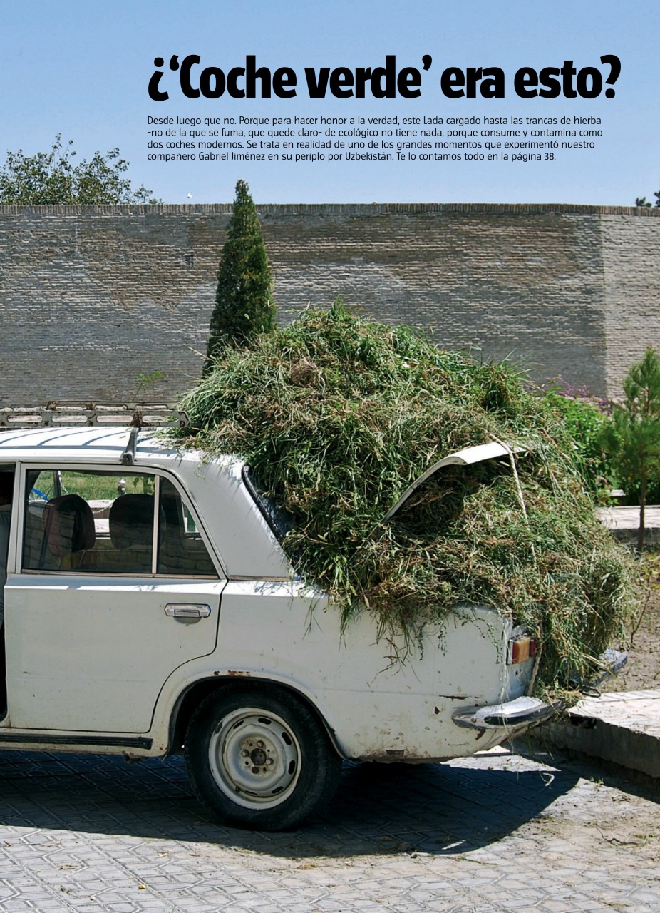 Auto Bild Preview Pages