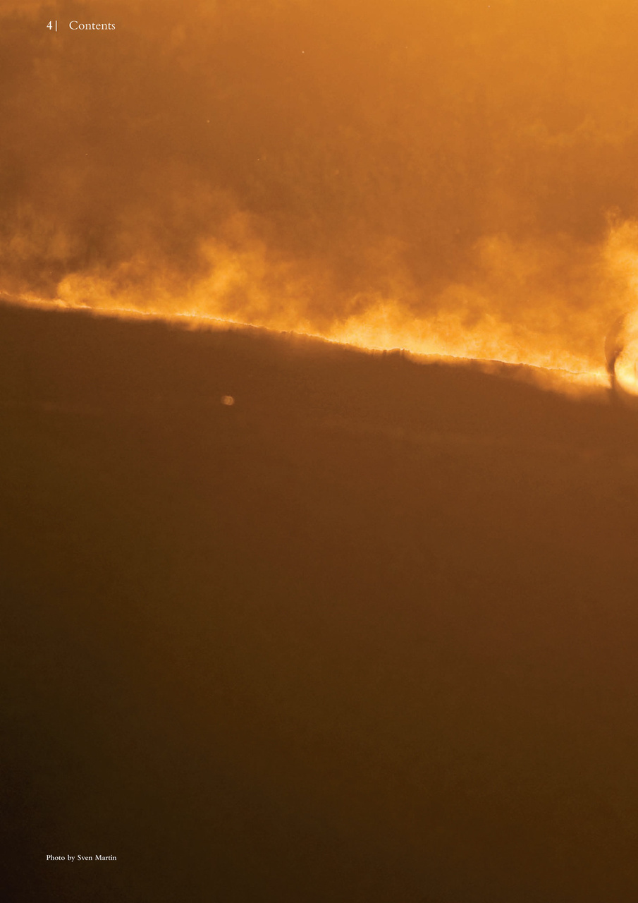 Singletrack Preview Pages