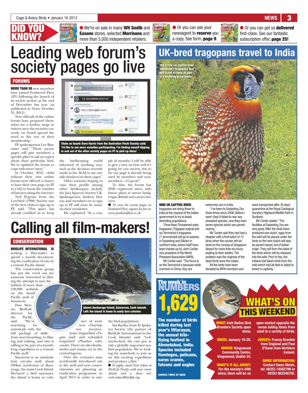 Cage & Aviary Birds Preview Pages