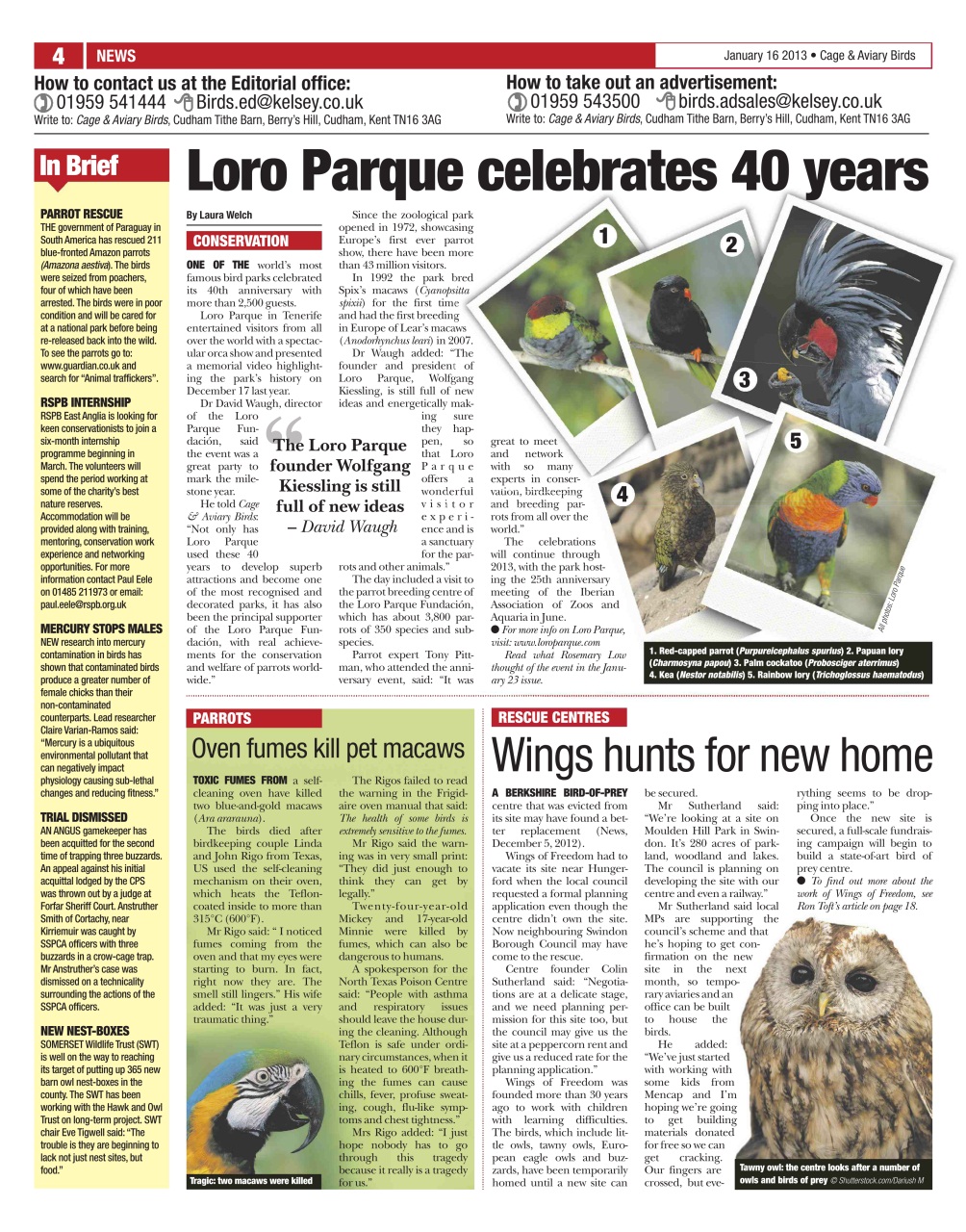 Cage & Aviary Birds Preview Pages