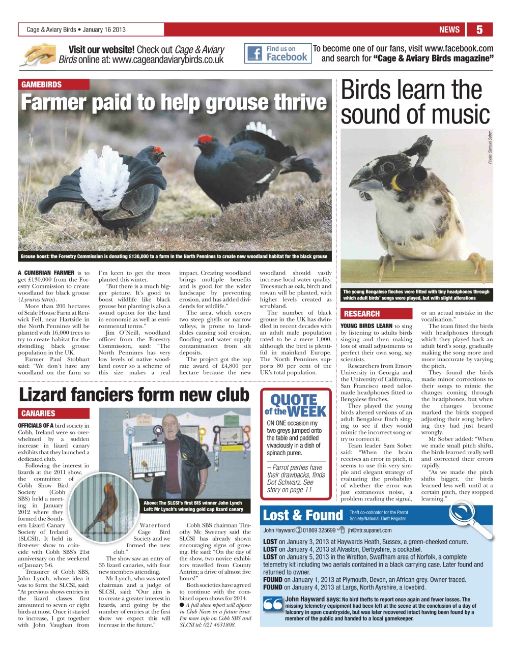 Cage & Aviary Birds Preview Pages