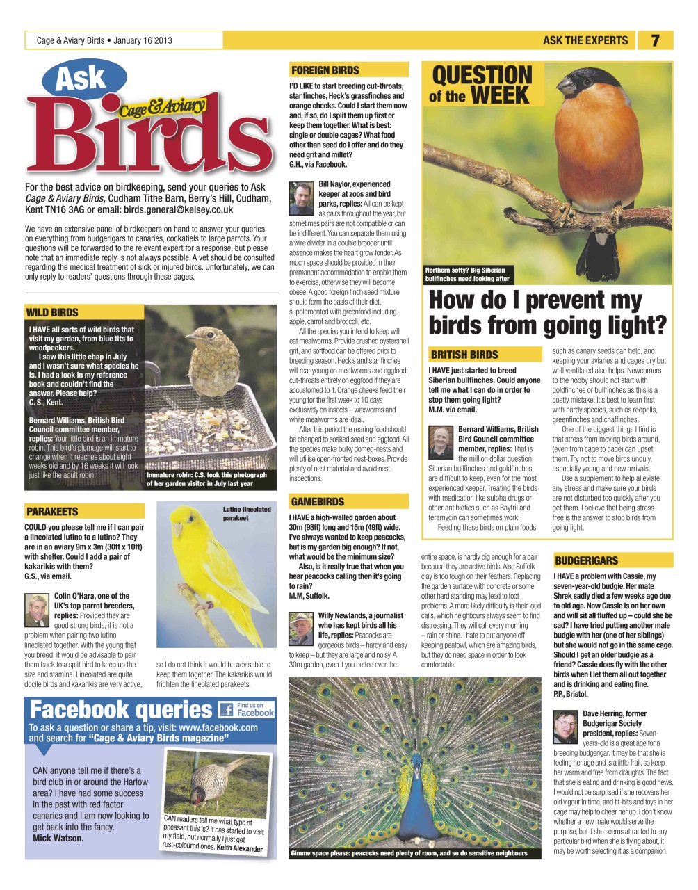 Cage & Aviary Birds Preview Pages