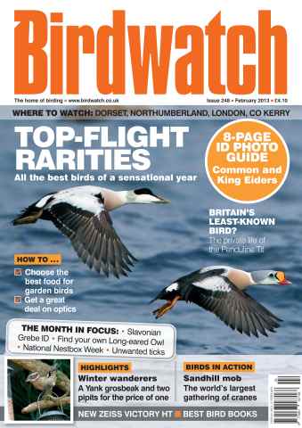 Birdwatch Magazine issue February 2013