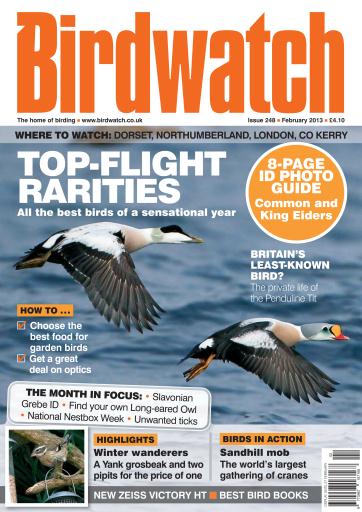Birdwatch Magazine issue 