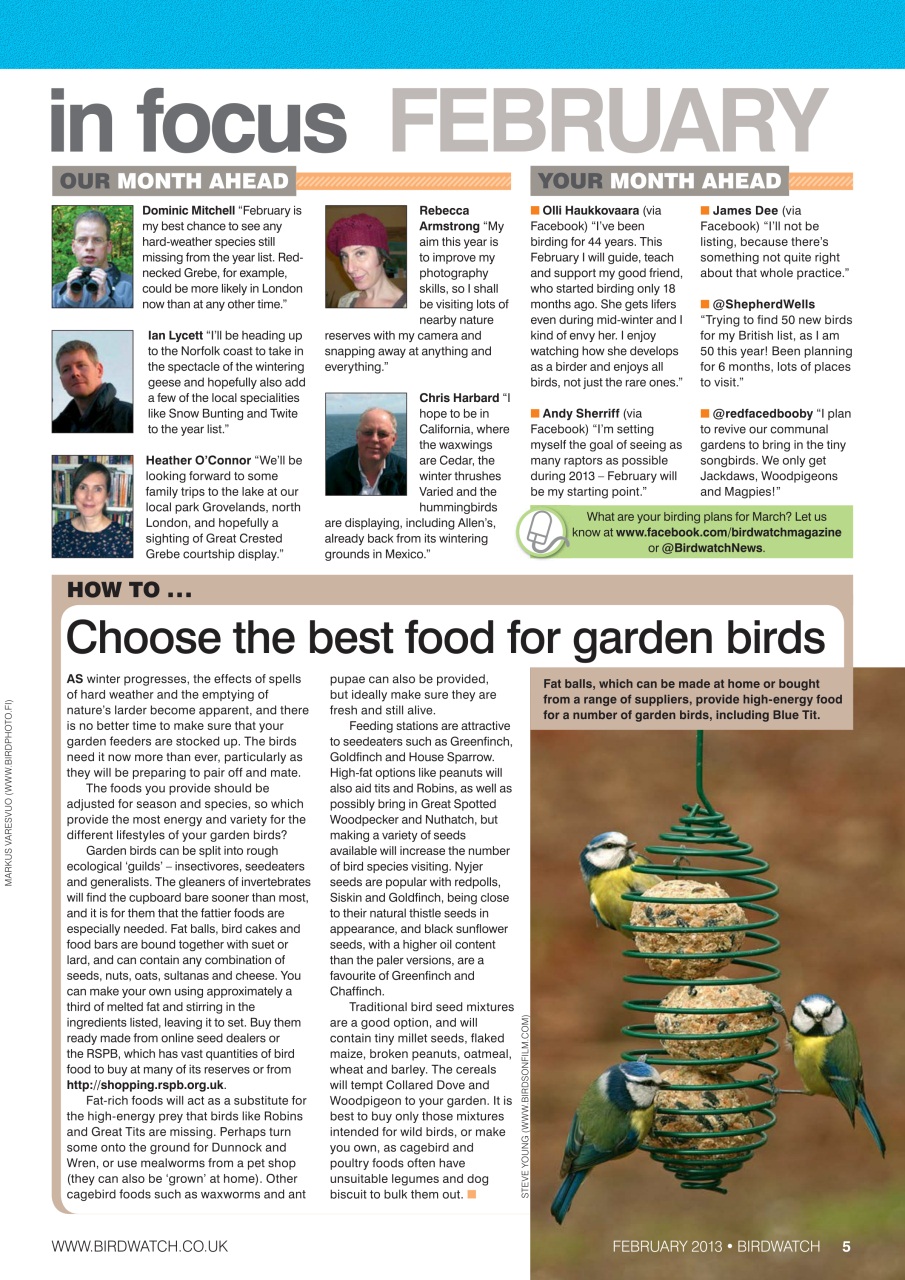 Birdwatch Magazine Preview Pages