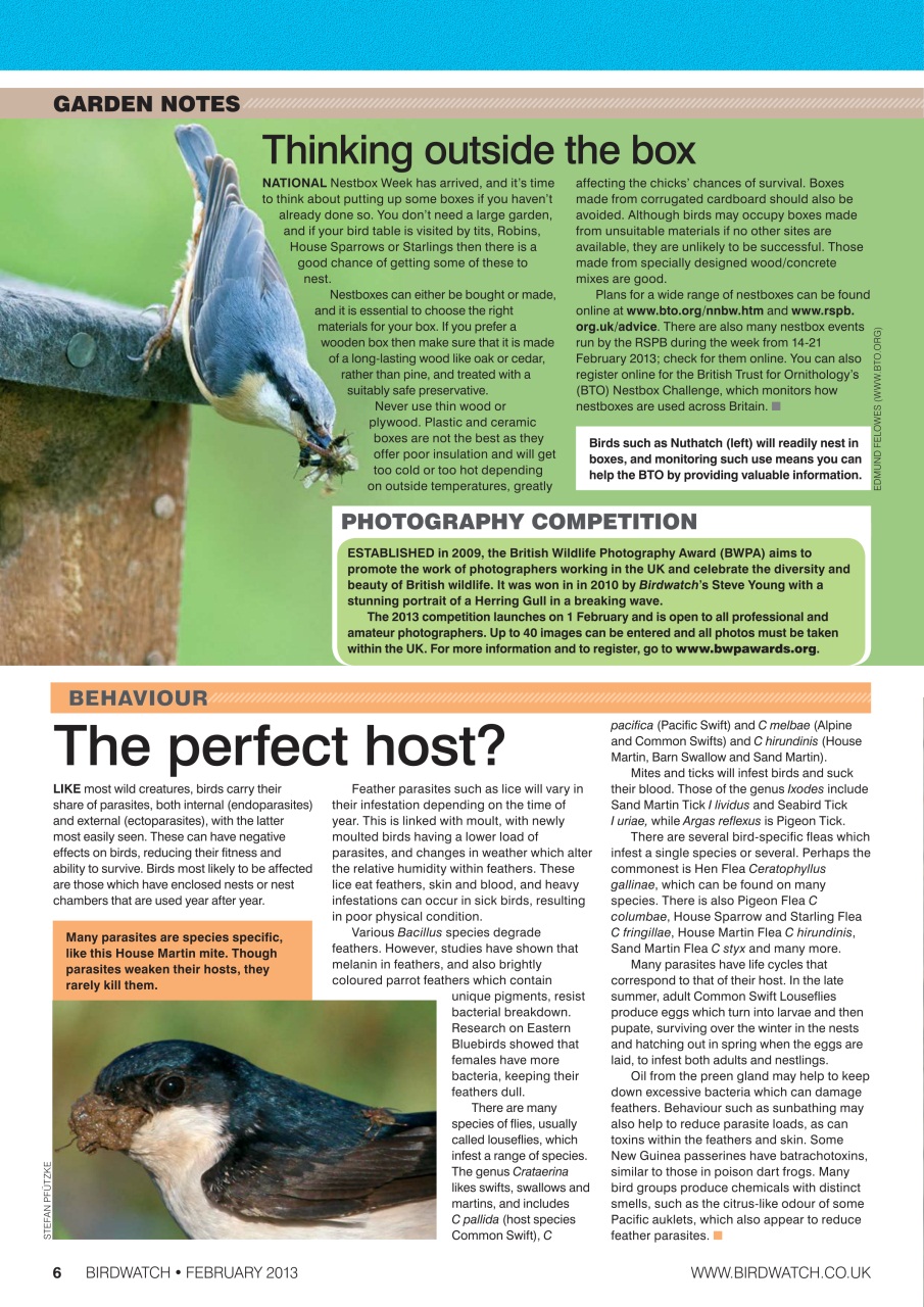 Birdwatch Magazine Preview Pages