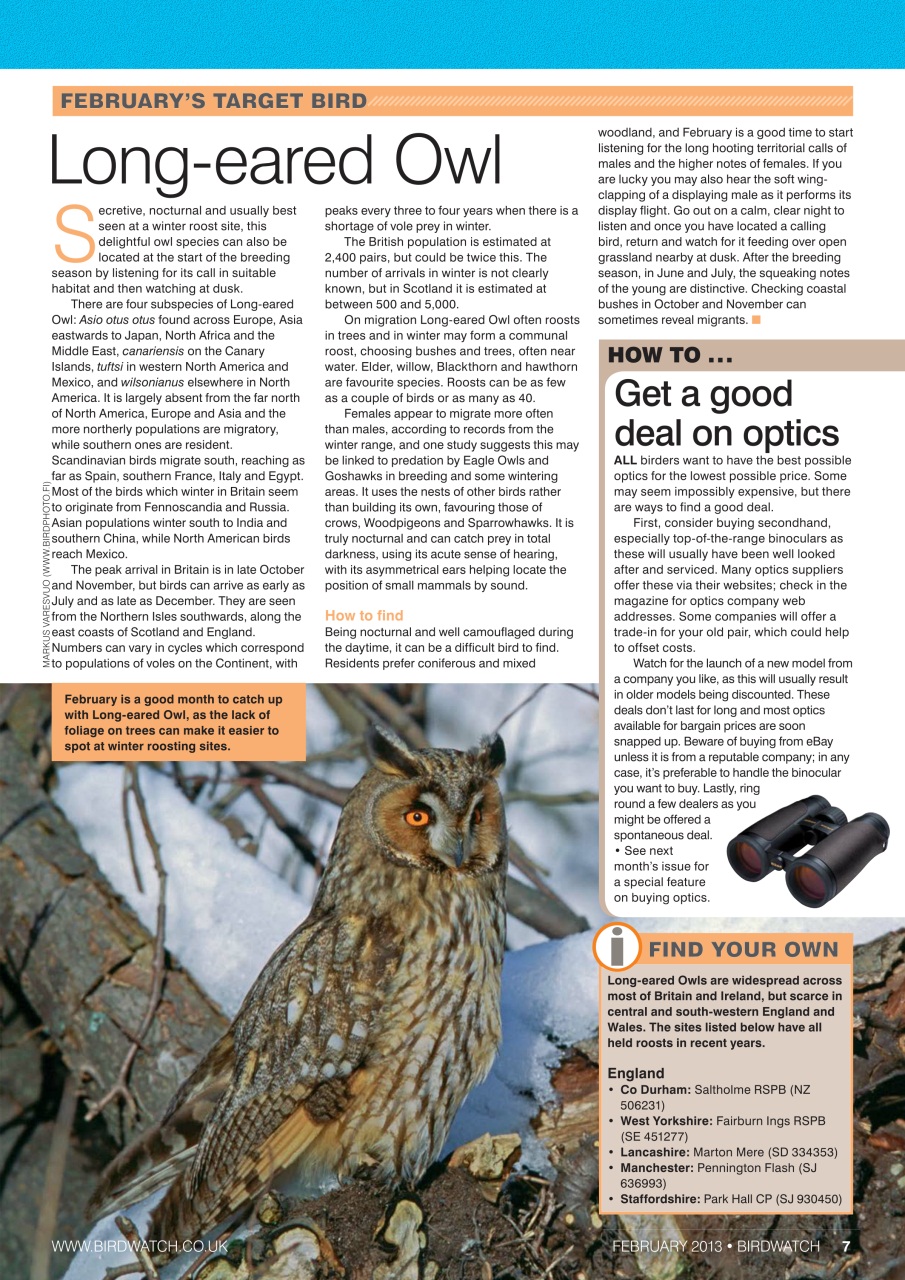 Birdwatch Magazine Preview Pages