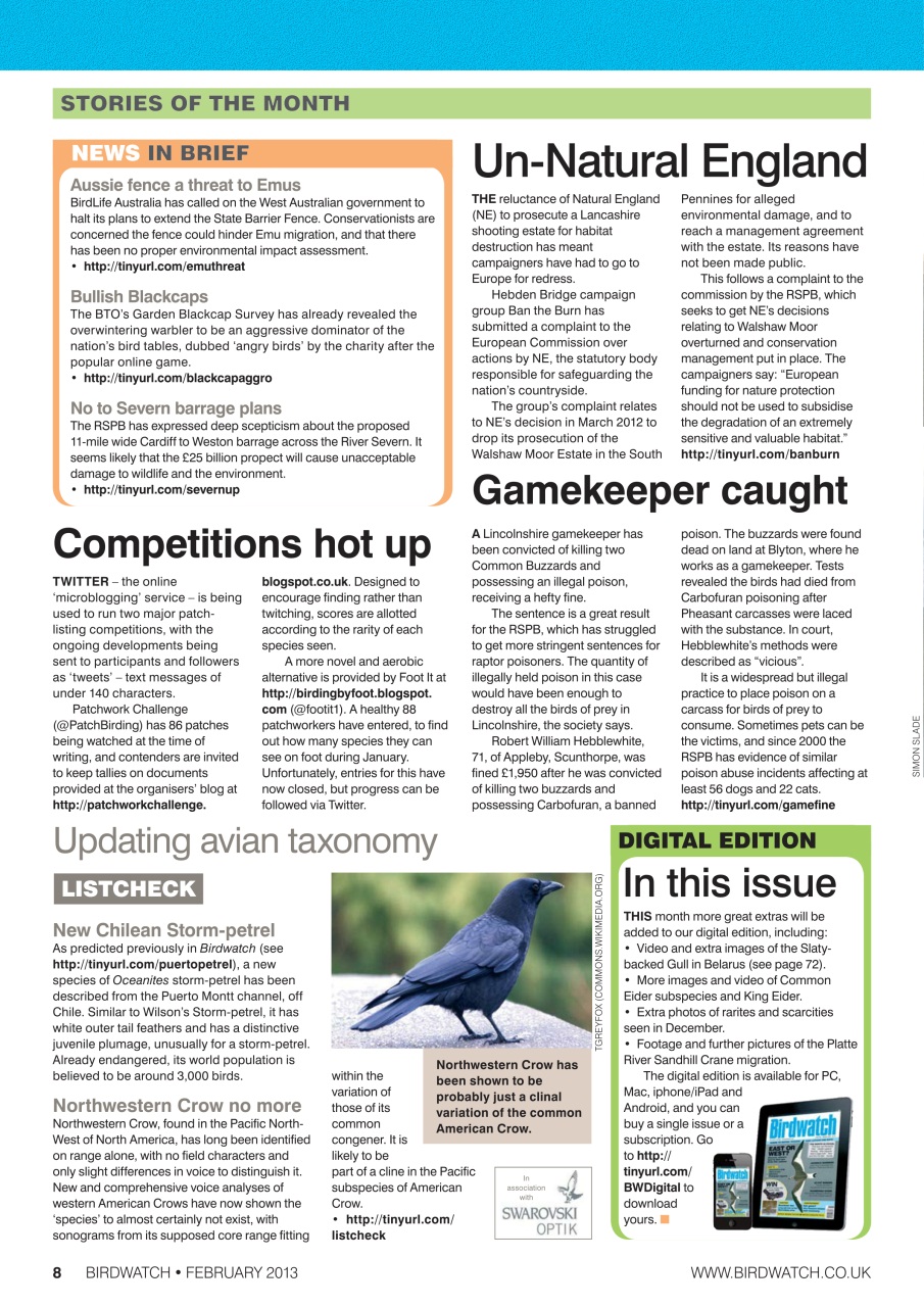 Birdwatch Magazine Preview Pages