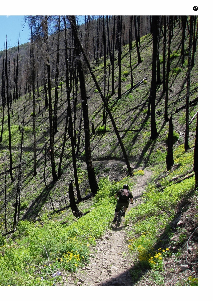 Singletrack Preview Pages