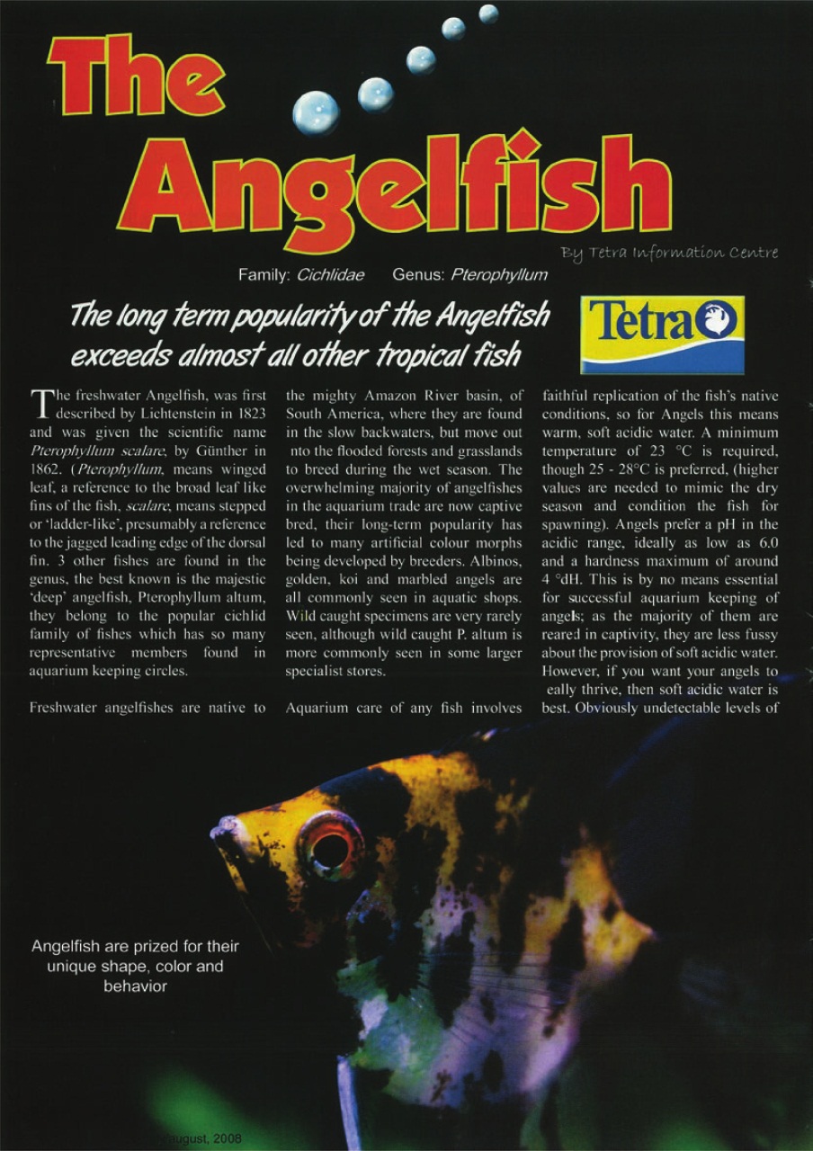 Ultimate Exotics Preview Pages