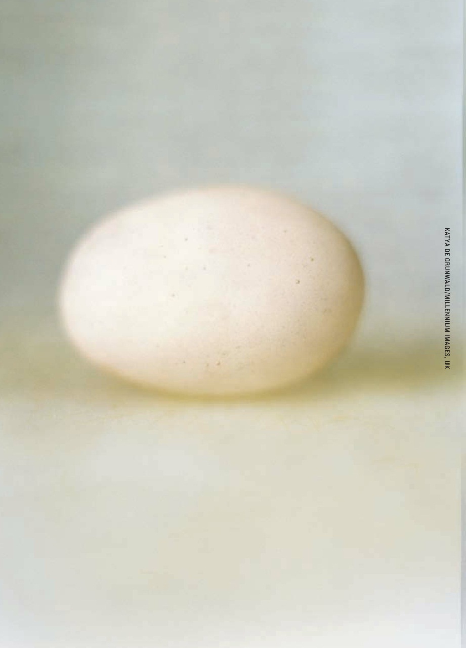 Adbusters Preview Pages