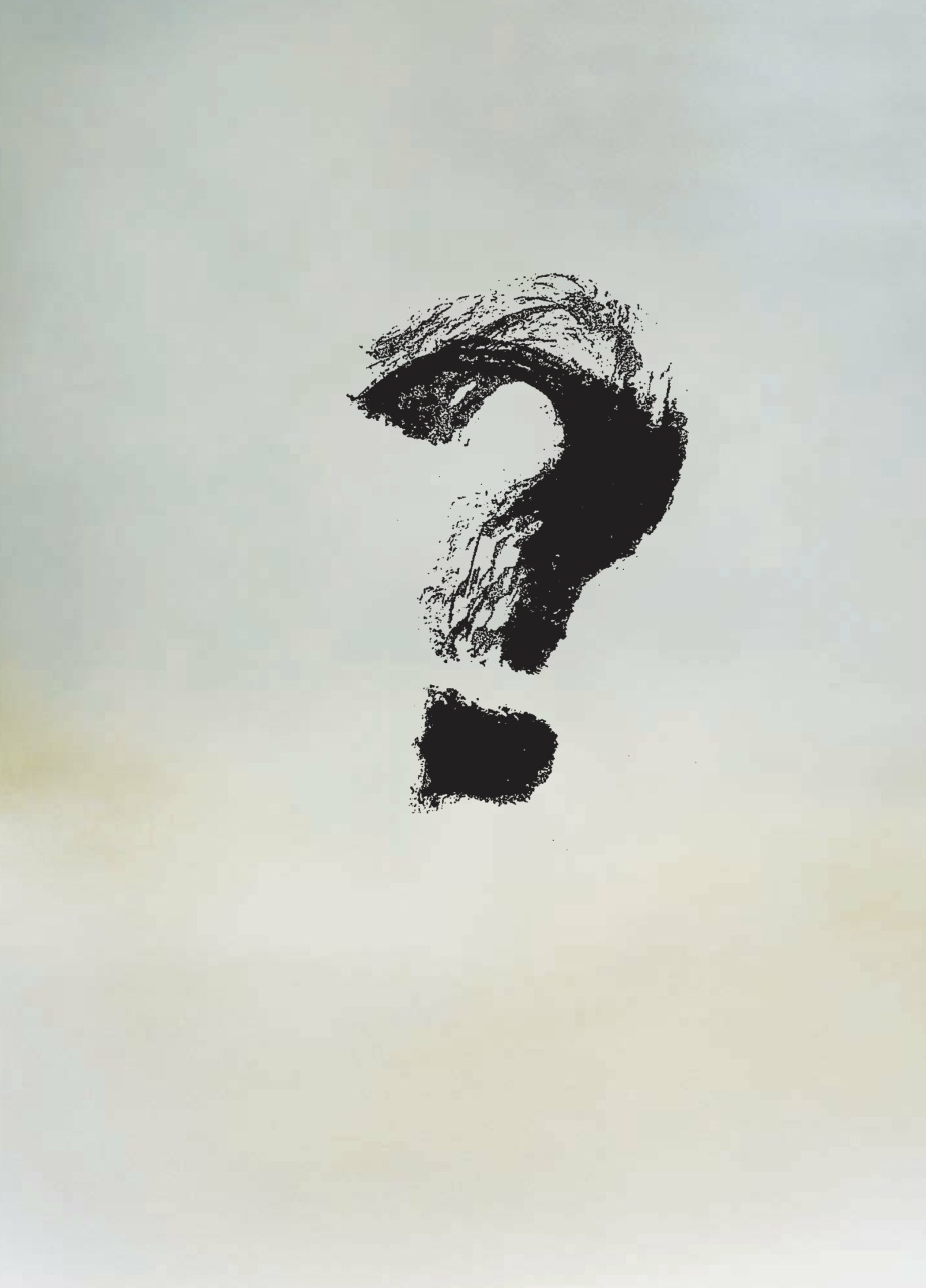 Adbusters Preview Pages