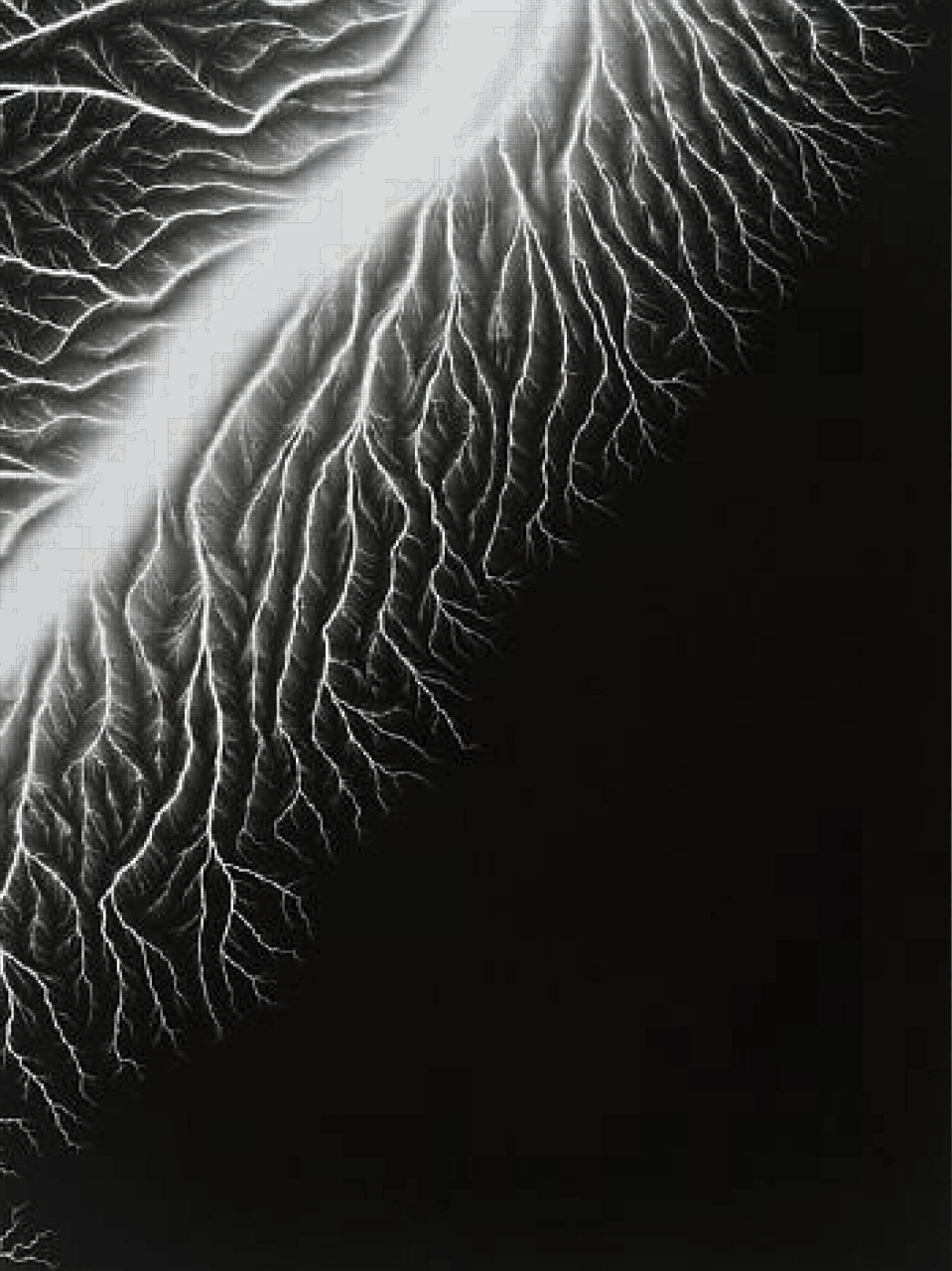 Adbusters Preview Pages