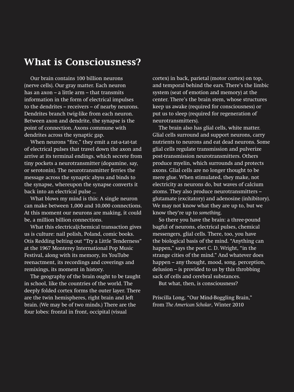 Adbusters Preview Pages