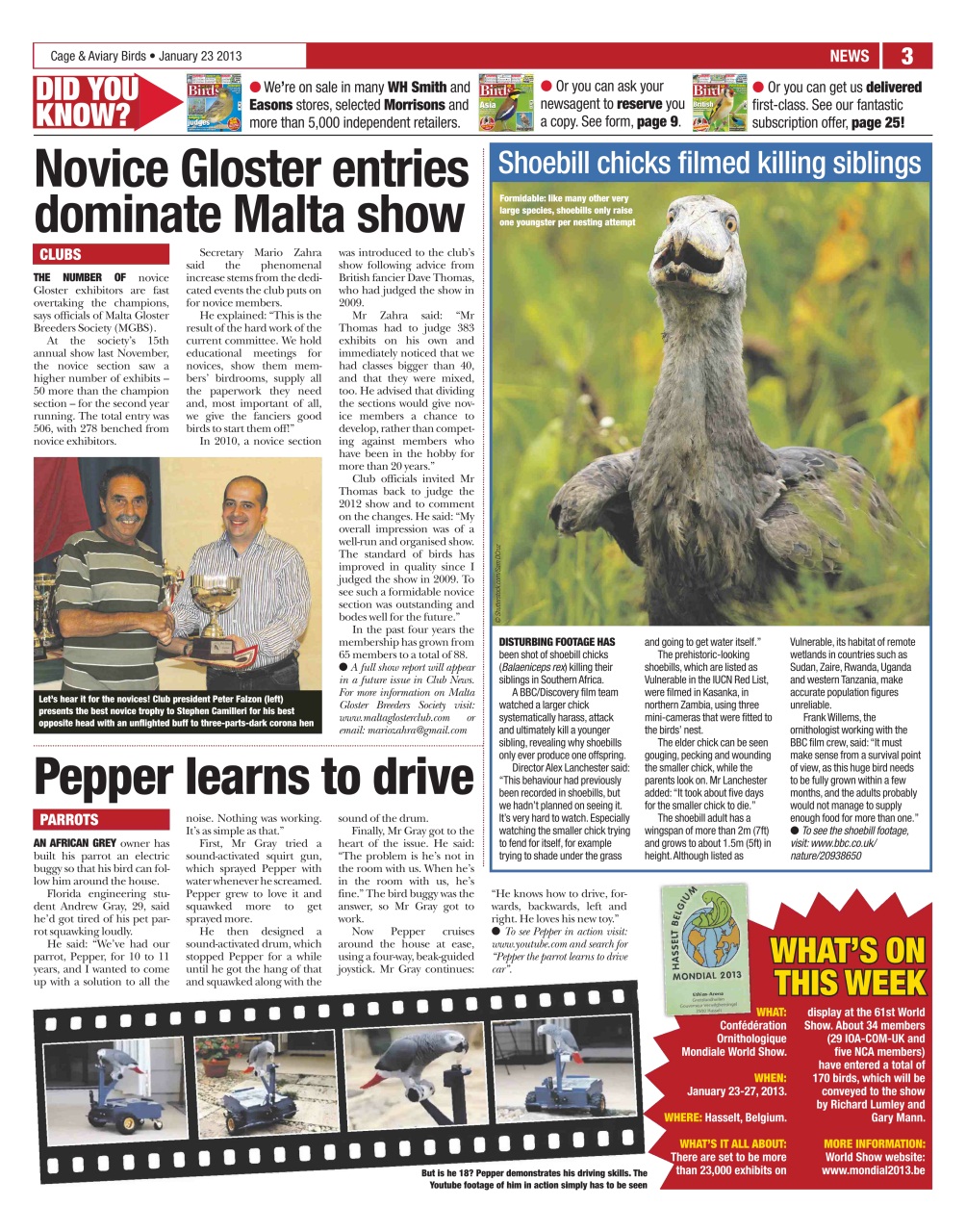 Cage & Aviary Birds Preview Pages