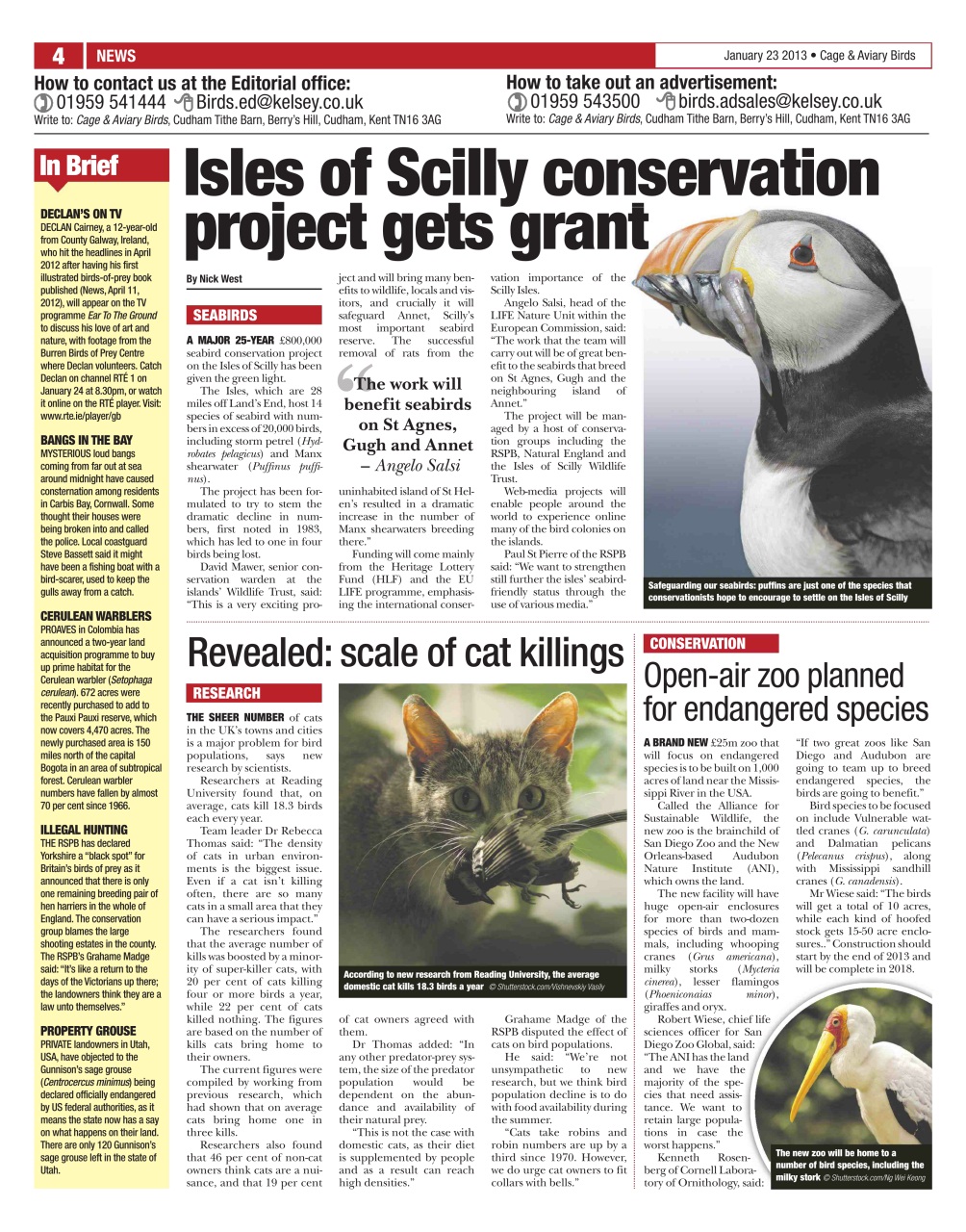 Cage & Aviary Birds Preview Pages