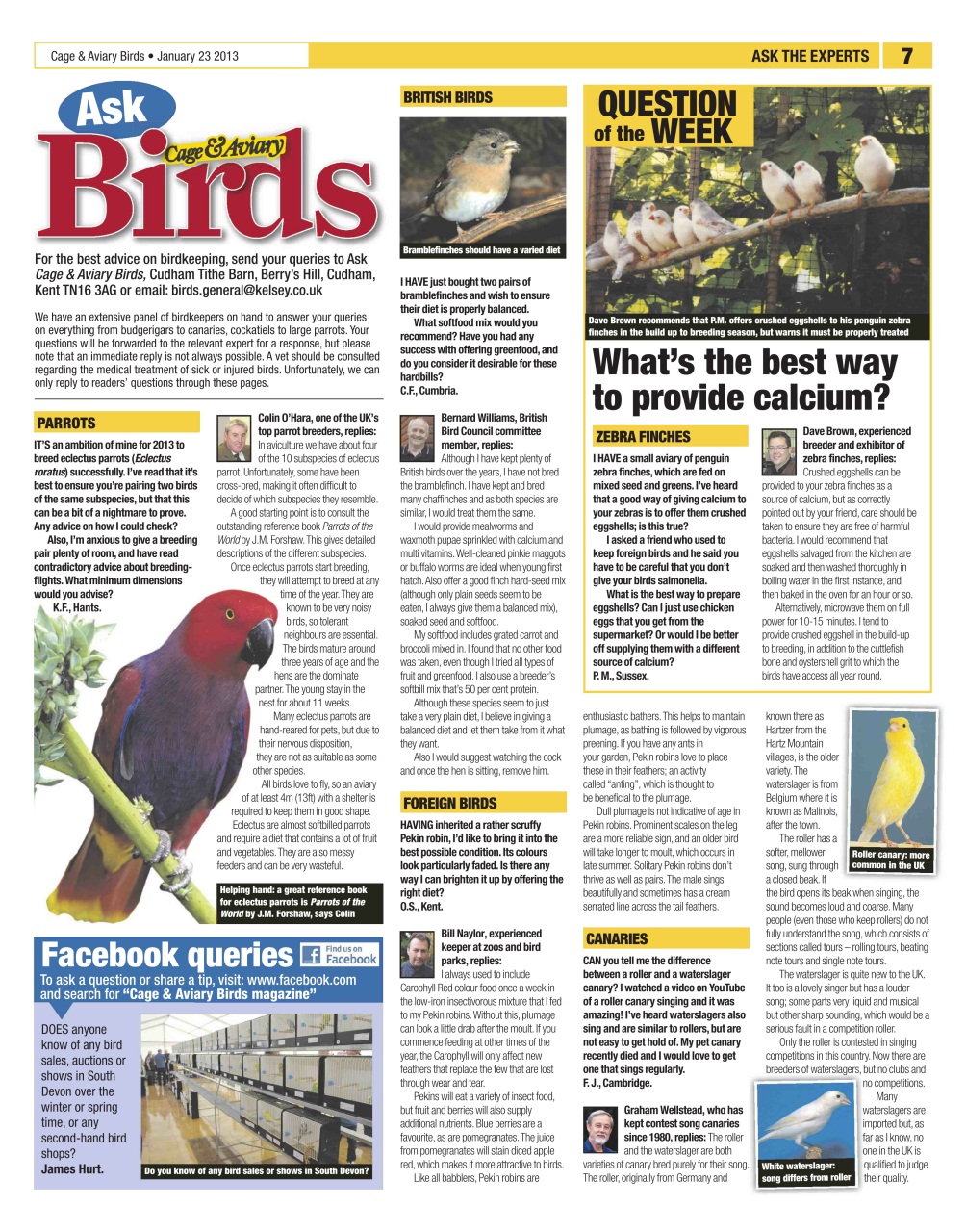 Cage & Aviary Birds Preview Pages