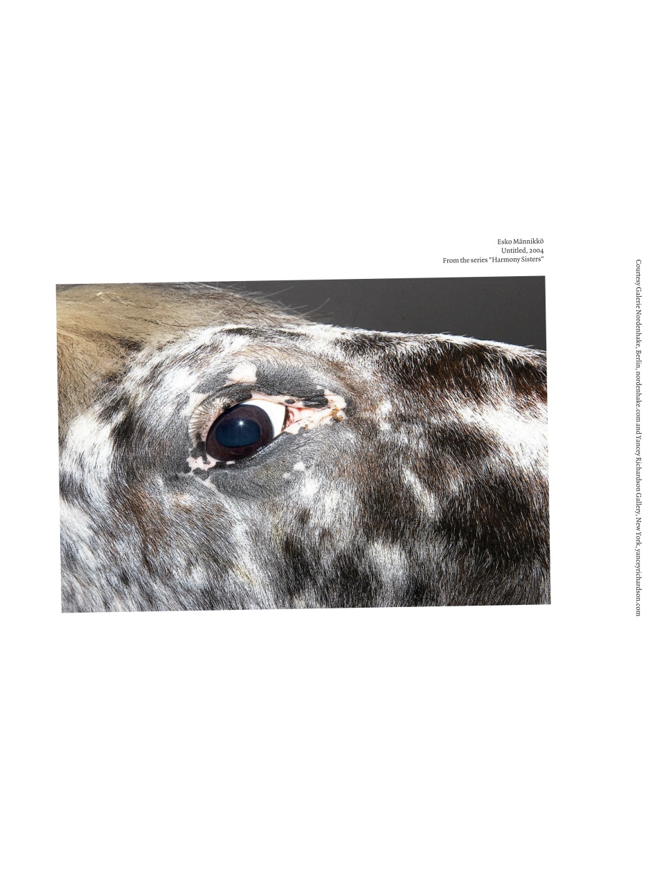 Adbusters Preview Pages