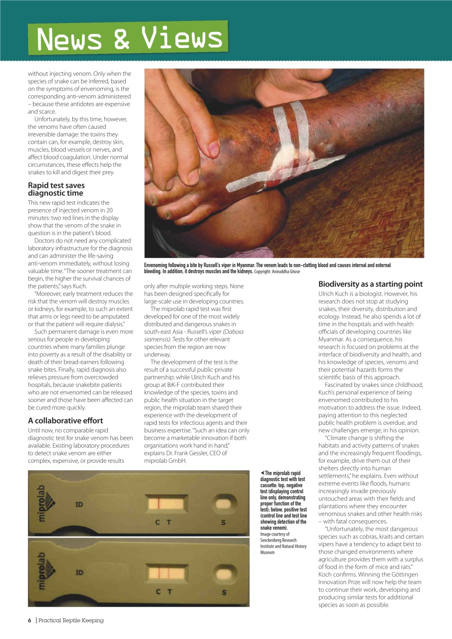 Practical Reptile Keeping Preview Pages