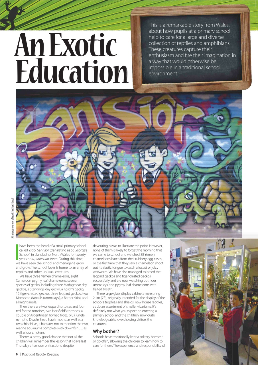 Practical Reptile Keeping Preview Pages