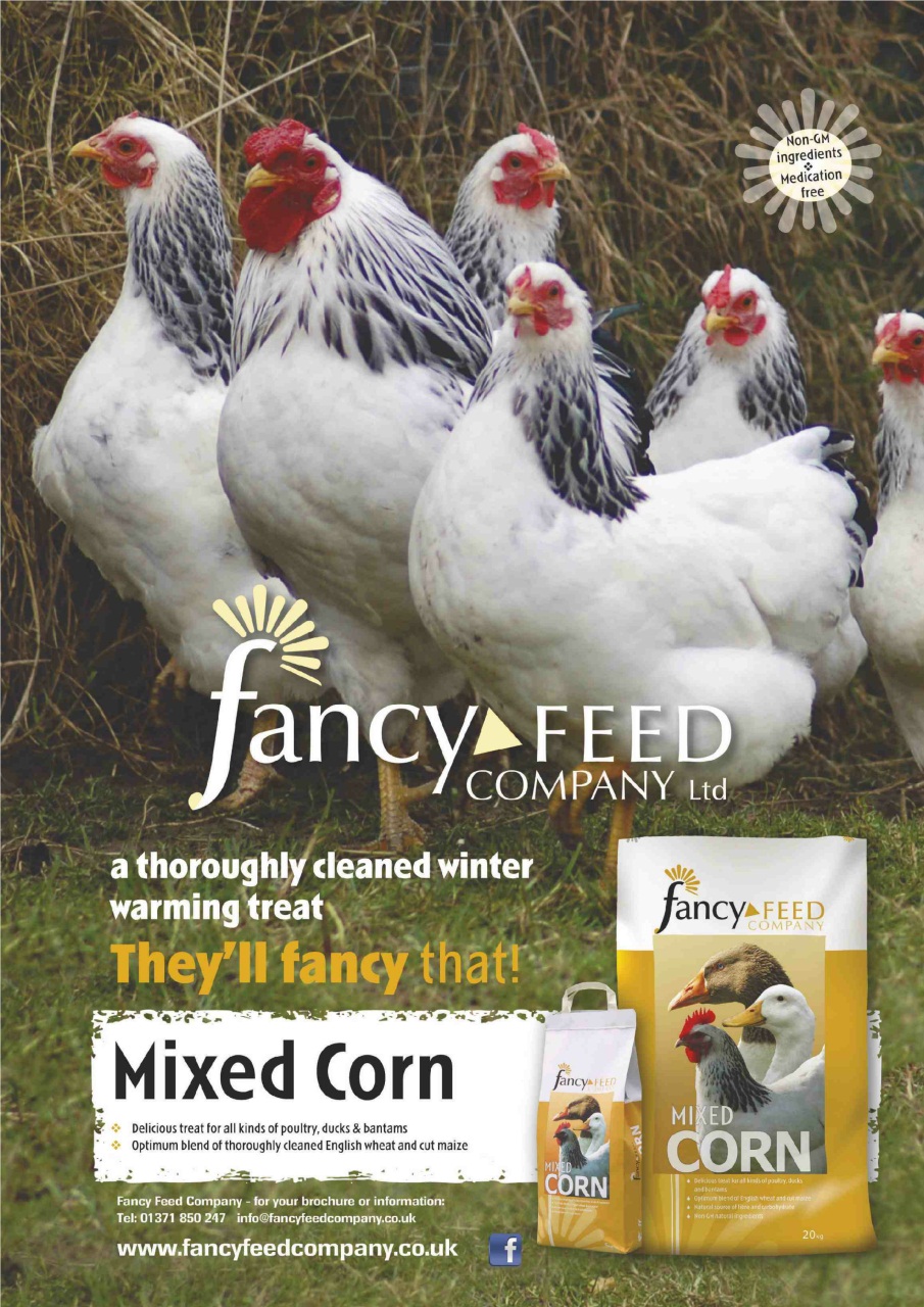 Practical Poultry Preview Pages