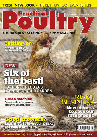 Practical Poultry issue 87