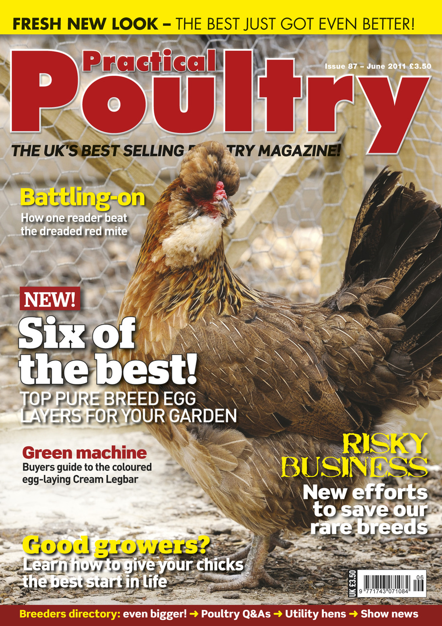 Practical Poultry Preview Pages