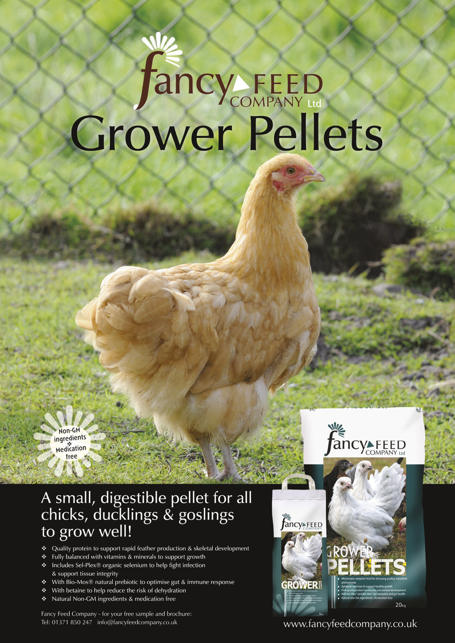Practical Poultry Preview Pages