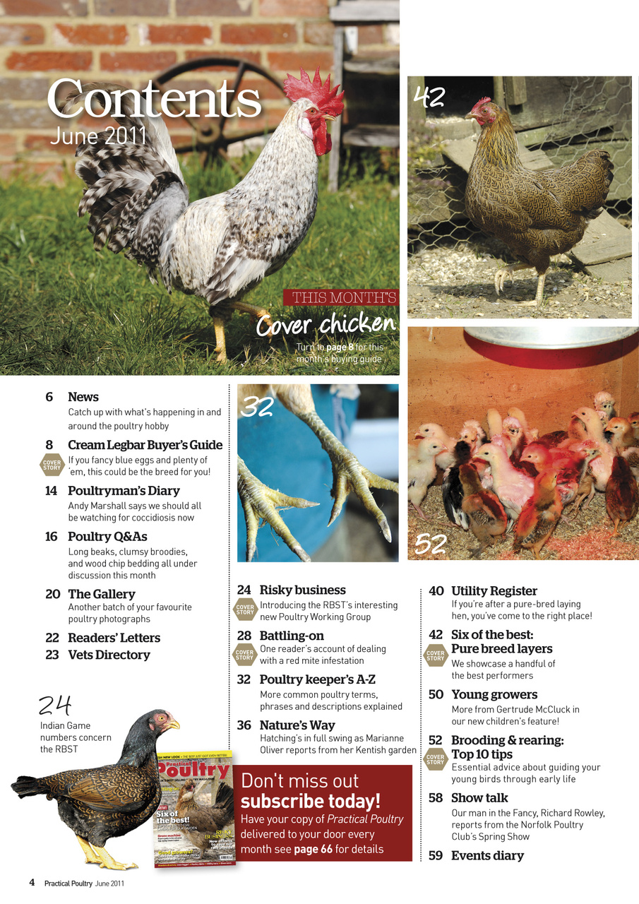 Practical Poultry Preview Pages