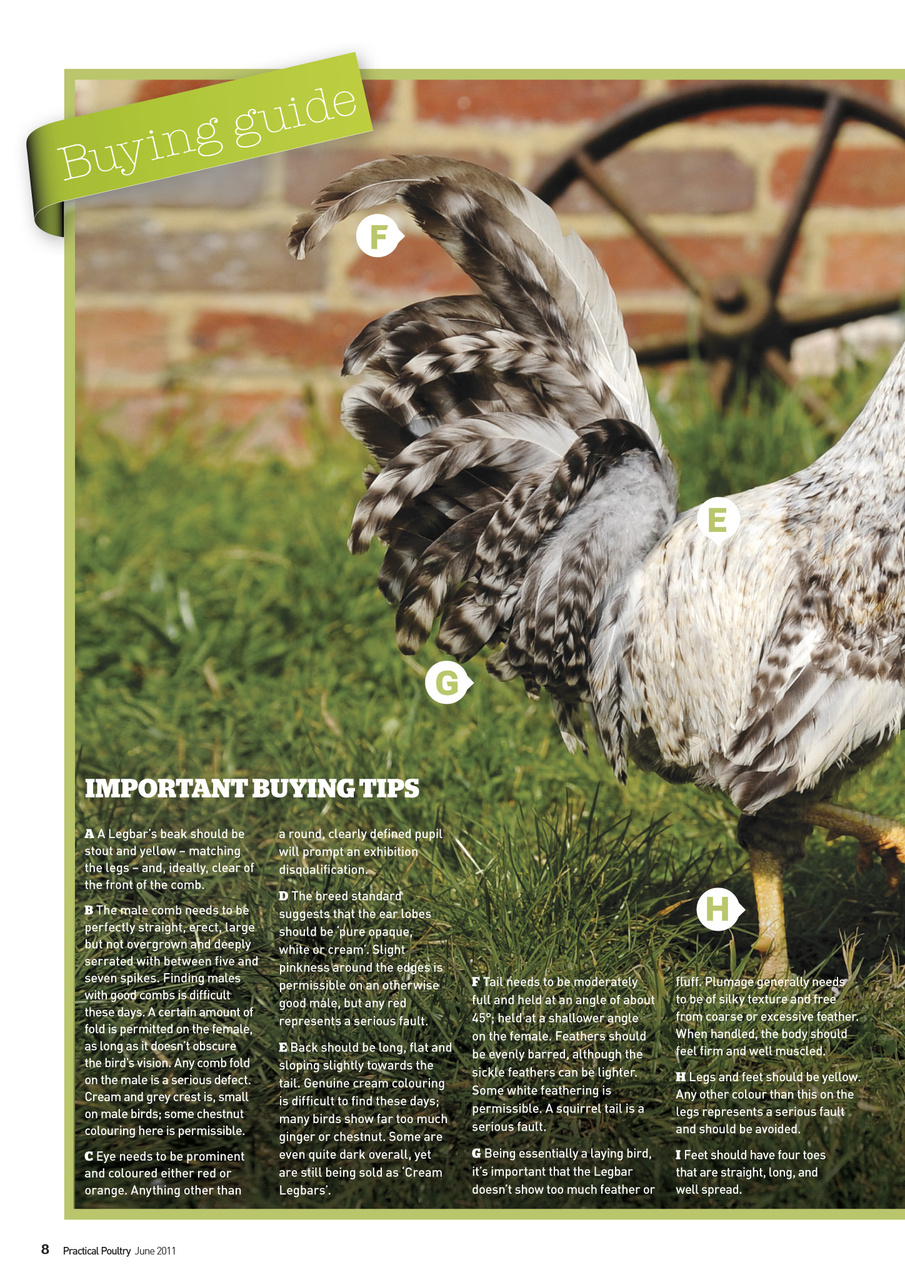 Practical Poultry Preview Pages