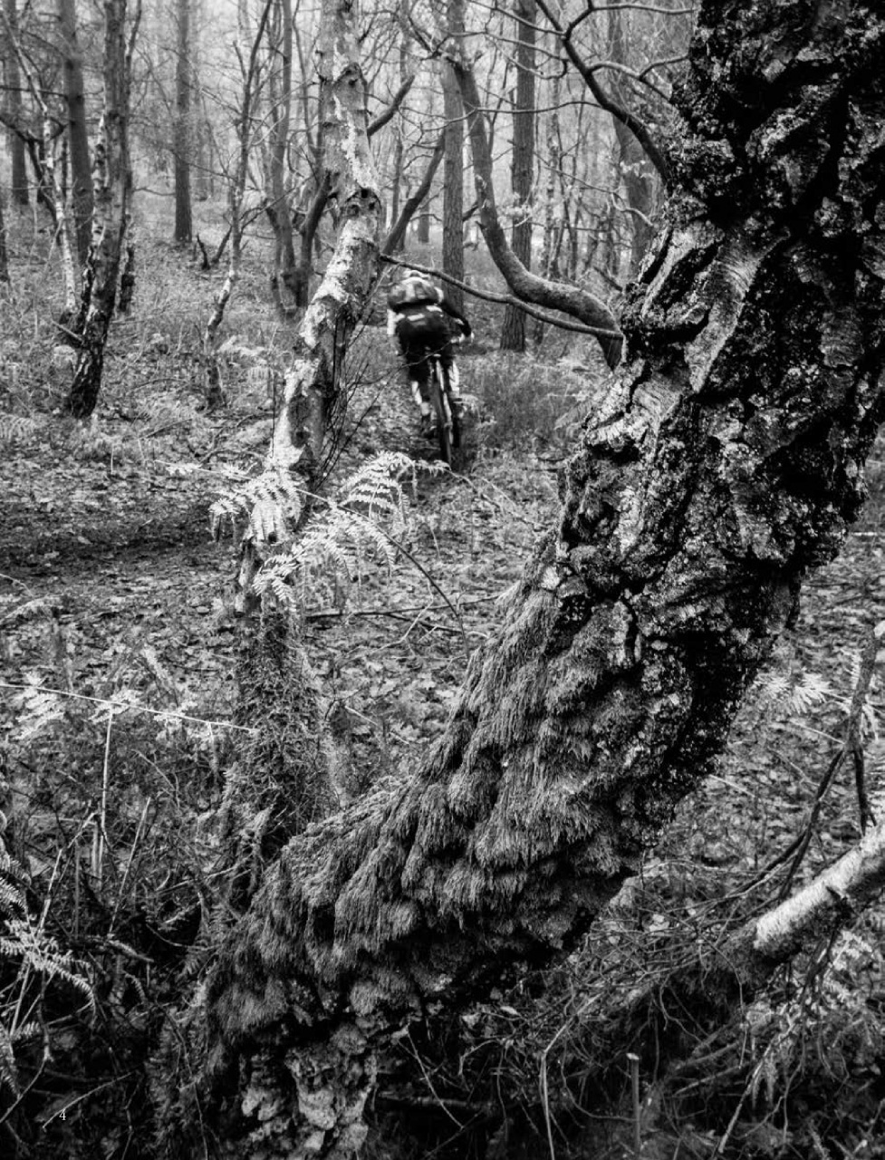 Singletrack Preview Pages