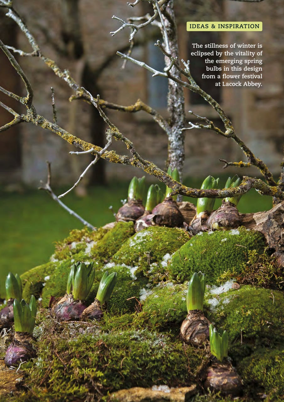 The Flower Arranger Preview Pages