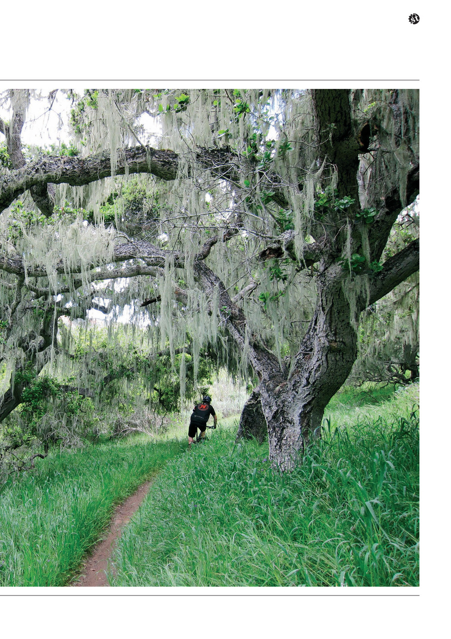 Singletrack Preview Pages