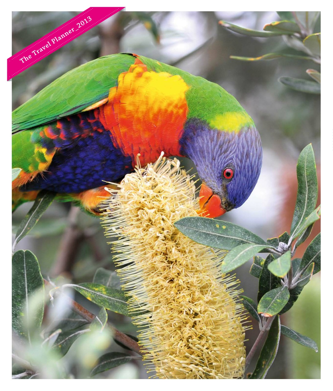 Luxury Travel Preview Pages