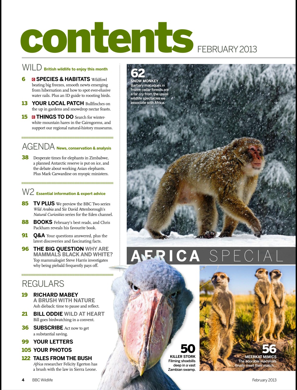 BBC Wildlife Magazine Preview Pages