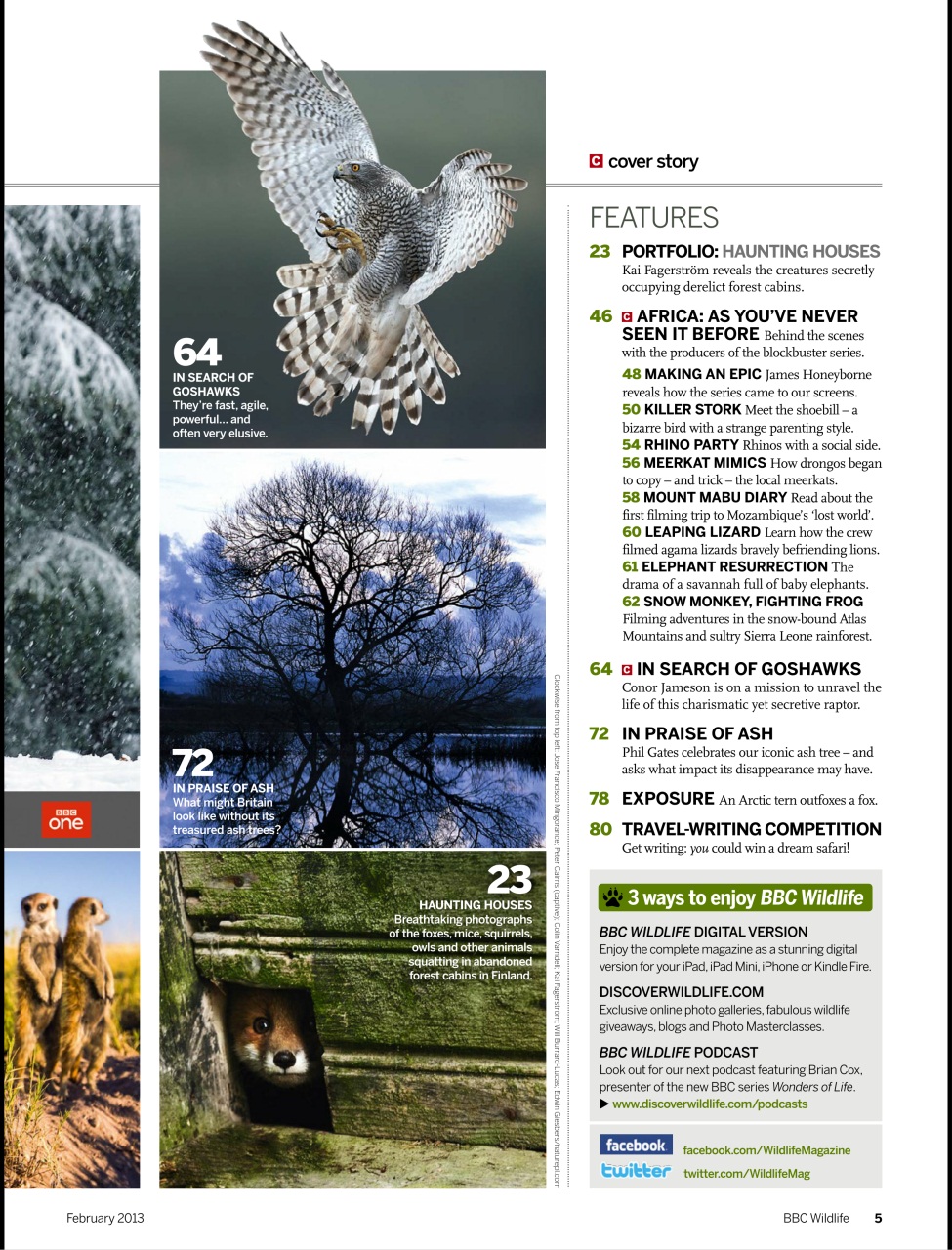 BBC Wildlife Magazine Preview Pages