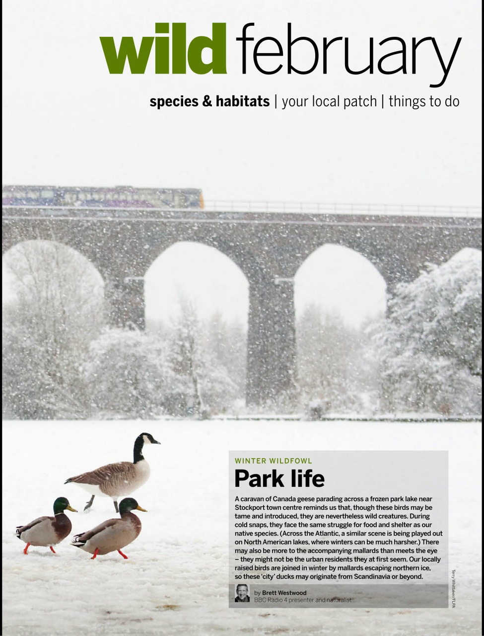BBC Wildlife Magazine Preview Pages