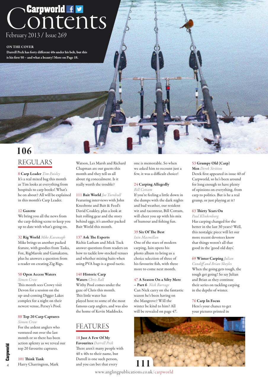 Carpworld Preview Pages