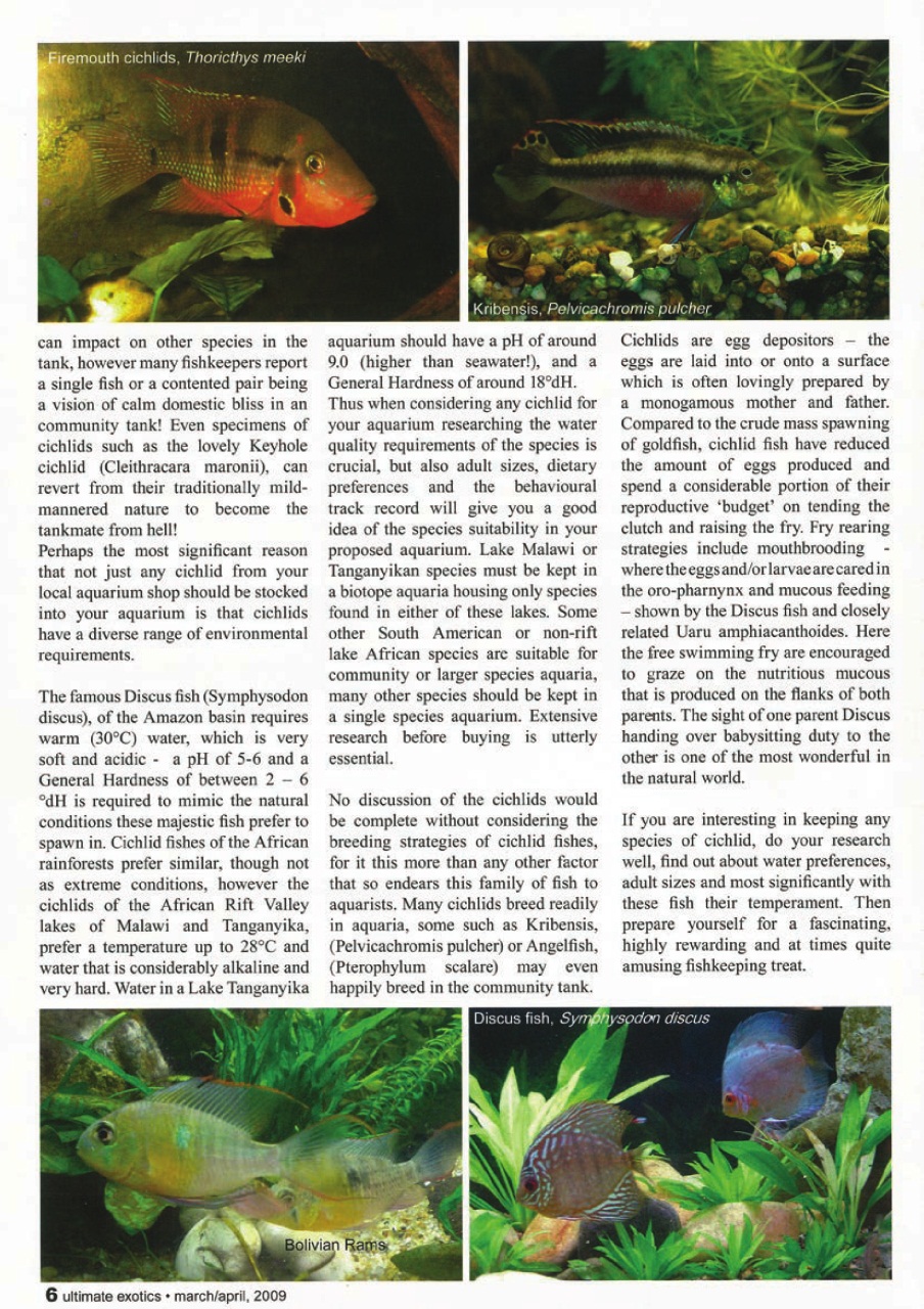 Ultimate Exotics Preview Pages