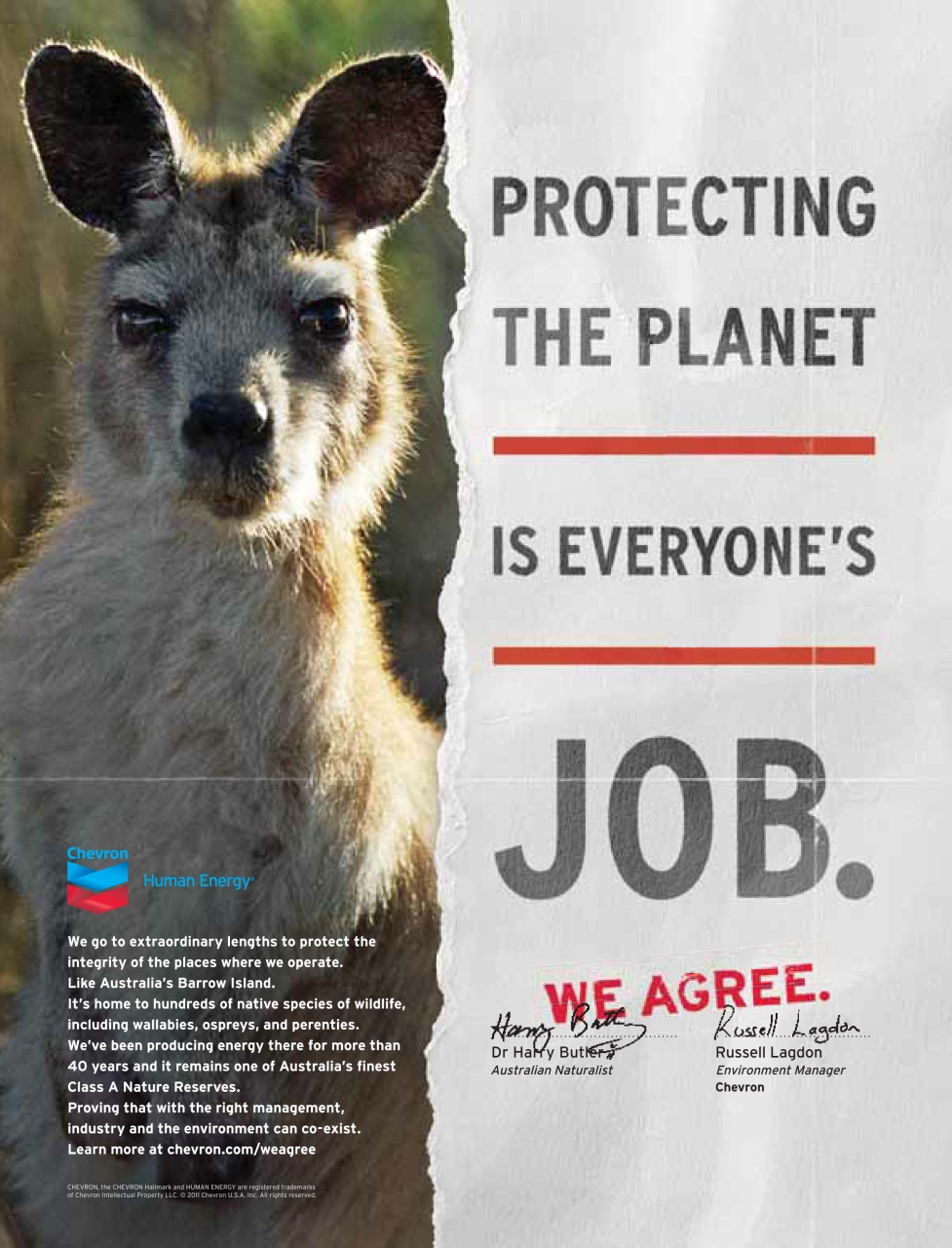 Prospect Magazine Preview Pages