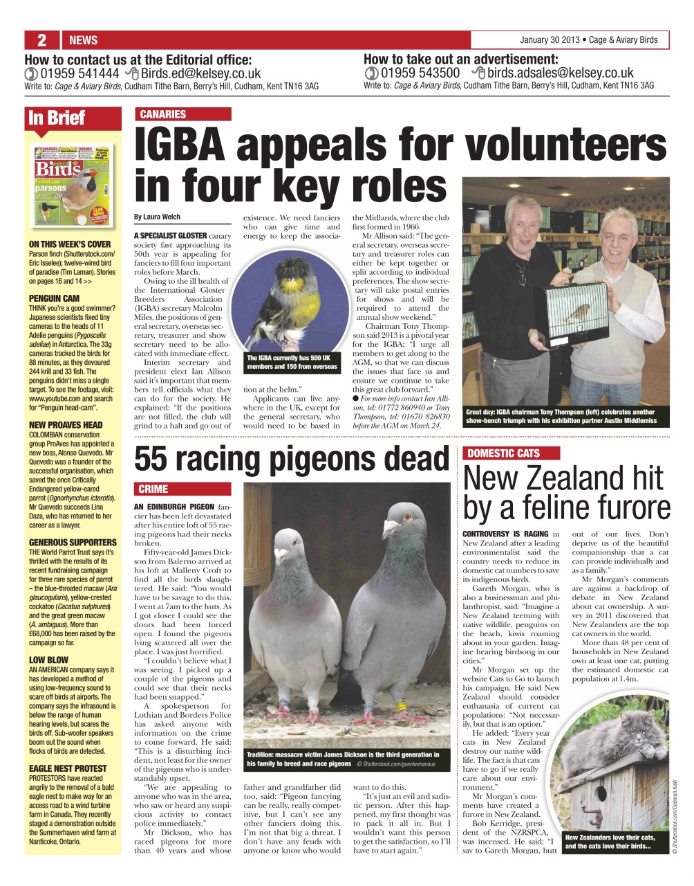 Cage & Aviary Birds Preview Pages