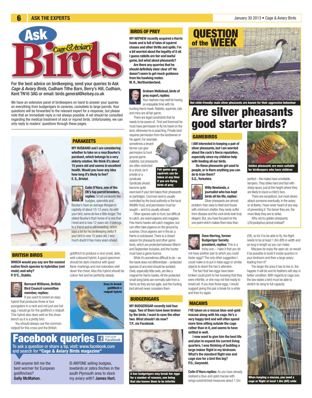 Cage & Aviary Birds Preview Pages