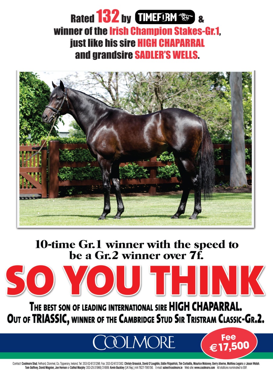 The Owner Breeder Preview Pages