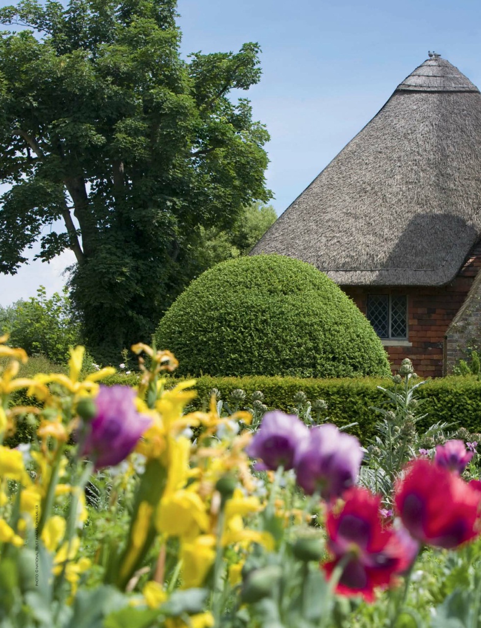 Britain Preview Pages