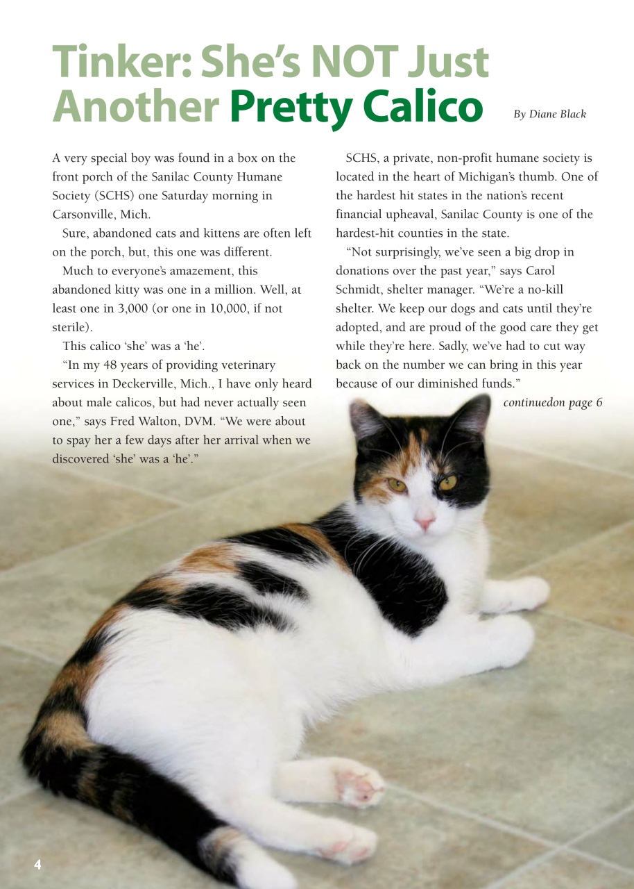 I Love Cats Preview Pages