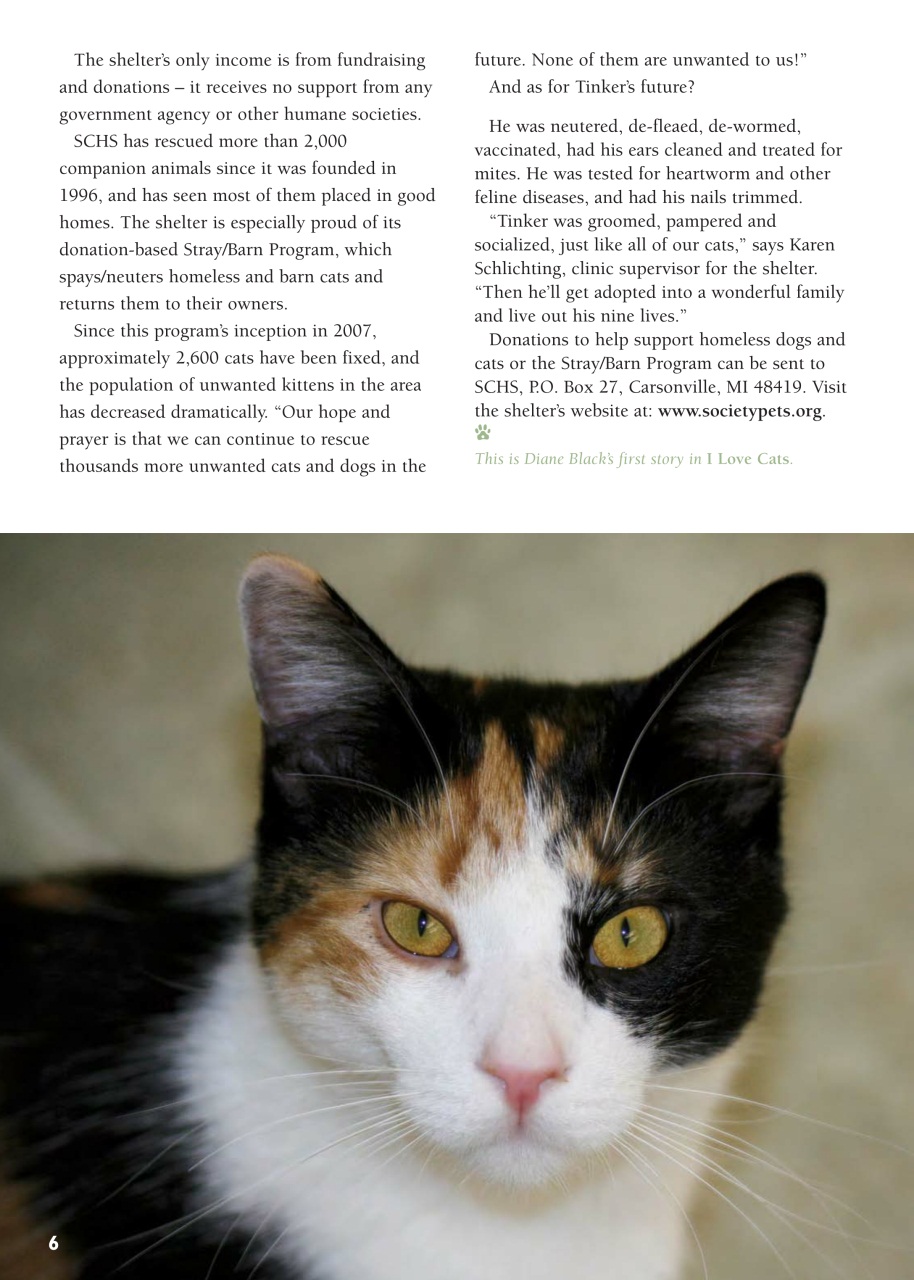 I Love Cats Preview Pages